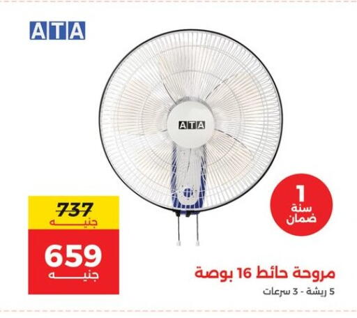 available at Raneen in Egypt - Cairo