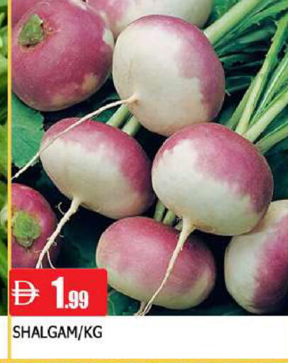 available at AL MADINA in UAE - Sharjah / Ajman