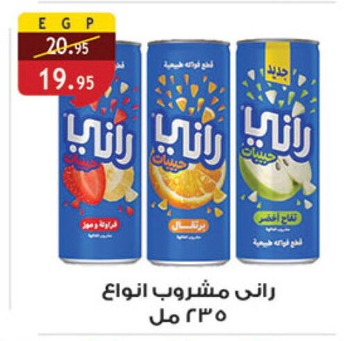 available at الرايه  ماركت in Egypt - القاهرة