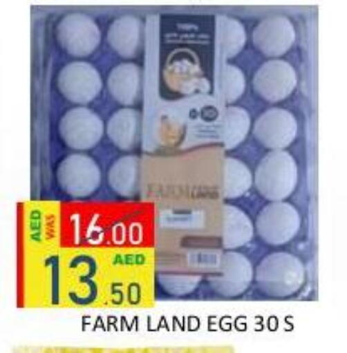 available at رويال جلف هايبرماركت in الإمارات العربية المتحدة , الامارات - أبو ظبي