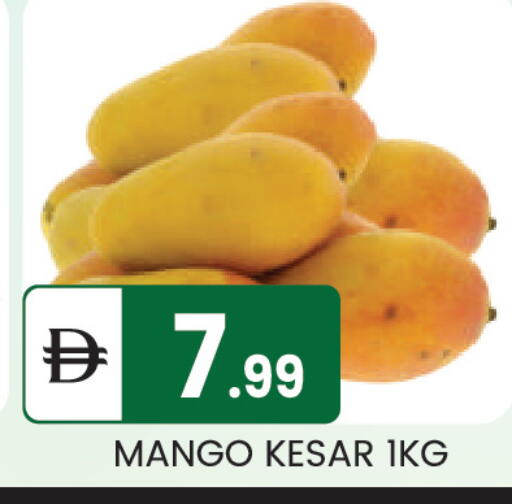 Mango available at سوق طلال in الإمارات العربية المتحدة , الامارات - أبو ظبي