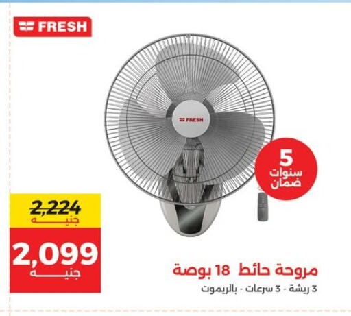 available at Raneen in Egypt - Cairo