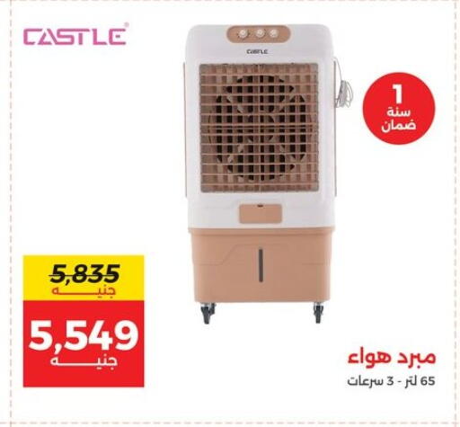 available at Raneen in Egypt - Cairo