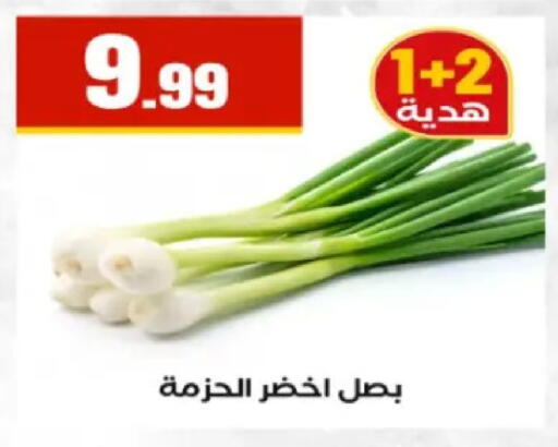 available at El Mahlawy Stores in Egypt - Cairo