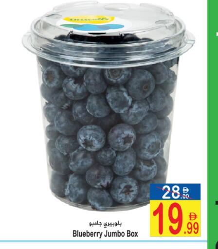 Blueberry BlueBerry available at سن اند ساند هايبر ماركت ذ.م.م in الإمارات العربية المتحدة , الامارات - ٱلْفُجَيْرَة‎