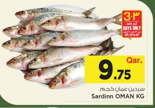 available at مارك & سيف in قطر - الضعاين