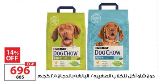 available at  Zahran Market in Egypt - Cairo