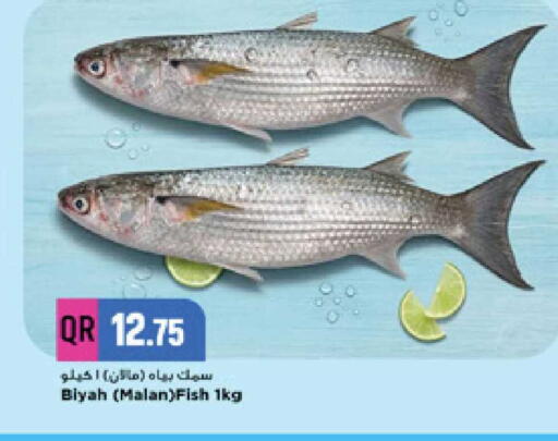 available at Marza Hypermarket in Qatar - Doha