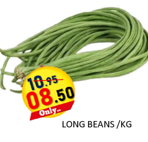 available at رويال جلف هايبرماركت in الإمارات العربية المتحدة , الامارات - أبو ظبي