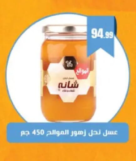 available at El Mahlawy Stores in Egypt - Cairo