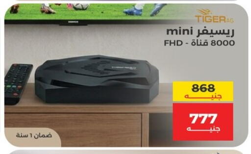 available at رنين in Egypt - القاهرة