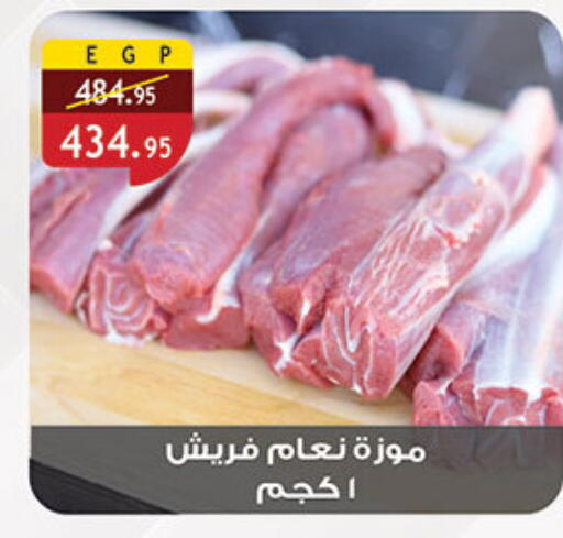 available at الرايه  ماركت in Egypt - القاهرة