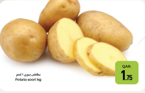 Potato available at باريس هايبرماركت in قطر - الوكرة