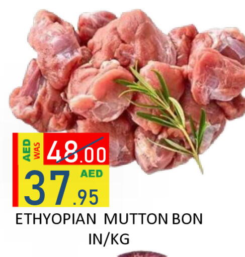 available at رويال جلف هايبرماركت in الإمارات العربية المتحدة , الامارات - أبو ظبي