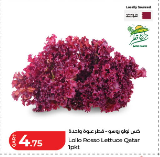 Lettuce from Qatar available at LuLu Hypermarket in Qatar - Doha
