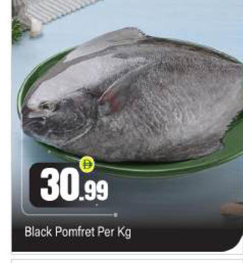 available at بيج مارت in الإمارات العربية المتحدة , الامارات - أبو ظبي