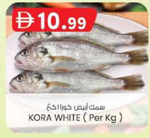 available at K M Trading  in UAE - Fujairah