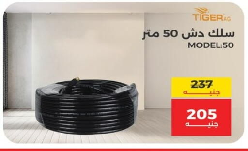 available at رنين in Egypt - القاهرة