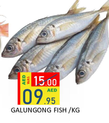 available at رويال جلف هايبرماركت in الإمارات العربية المتحدة , الامارات - أبو ظبي