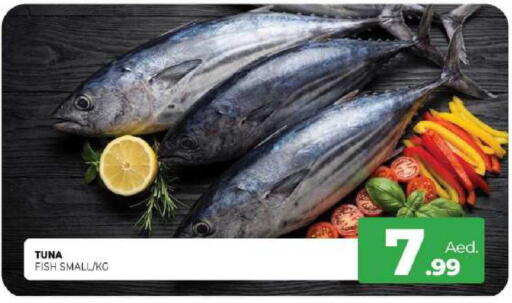 available at المدينة in الإمارات العربية المتحدة , الامارات - الشارقة / عجمان