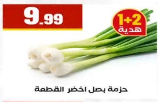 available at El Mahlawy Stores in Egypt - Cairo