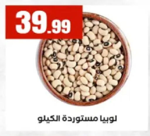 available at El Mahlawy Stores in Egypt - Cairo