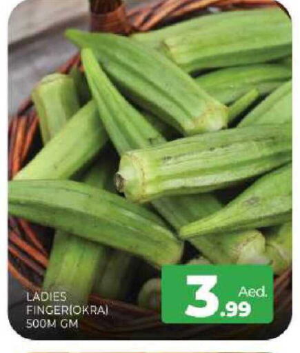 Okra available at المدينة in الإمارات العربية المتحدة , الامارات - الشارقة / عجمان