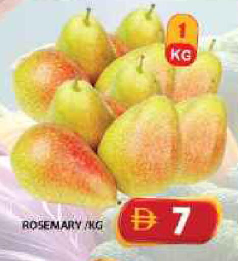 Rosemary available at جراند هايبر ماركت in الإمارات العربية المتحدة , الامارات - الشارقة / عجمان