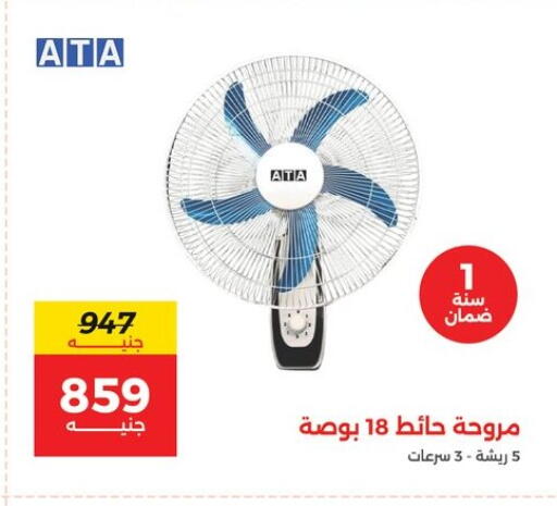 available at Raneen in Egypt - Cairo