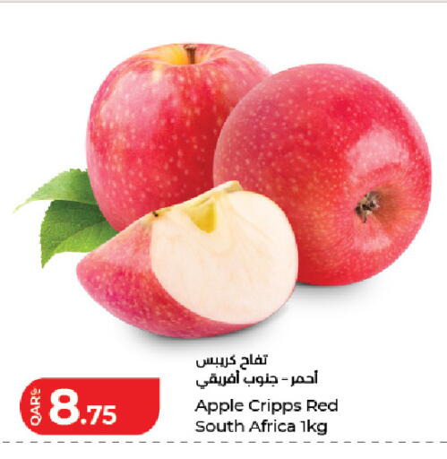 Apple from South Africa available at LuLu Hypermarket in Qatar - Al Rayyan