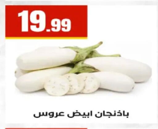 available at El Mahlawy Stores in Egypt - Cairo