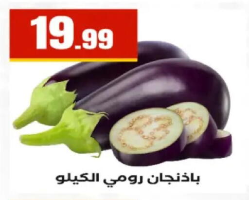 available at El Mahlawy Stores in Egypt - Cairo