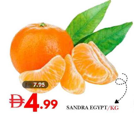 from Egypt available at ديزرت فريش ماركت in الإمارات العربية المتحدة , الامارات - أبو ظبي