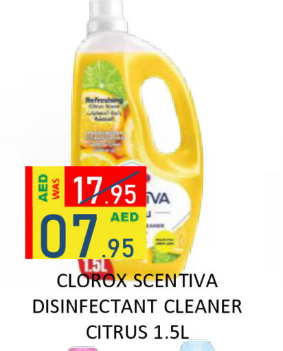 available at رويال جلف هايبرماركت in الإمارات العربية المتحدة , الامارات - أبو ظبي