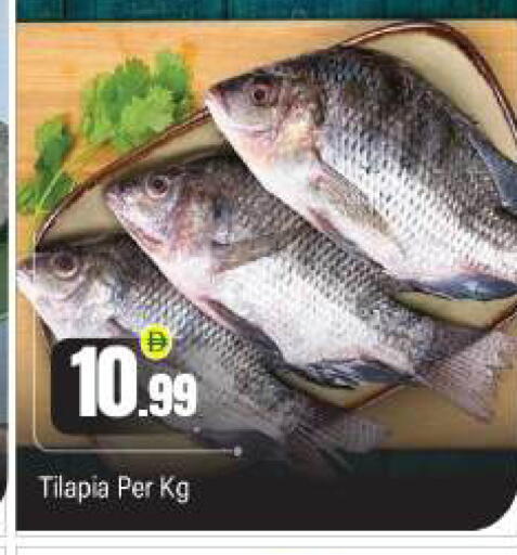 available at بيج مارت in الإمارات العربية المتحدة , الامارات - أبو ظبي