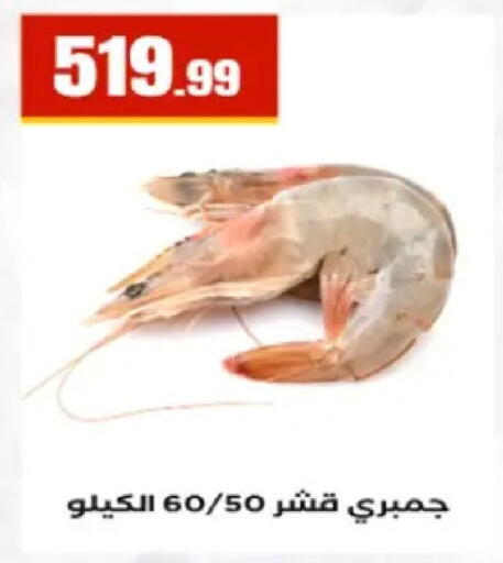 available at El Mahlawy Stores in Egypt - Cairo