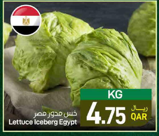 Lettuce from Egypt available at ســبــار in قطر - أم صلال