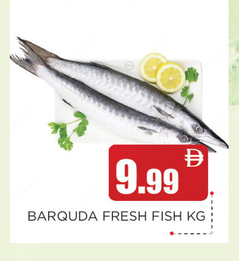 available at عين المدينة هايبرماركت in الإمارات العربية المتحدة , الامارات - الشارقة / عجمان