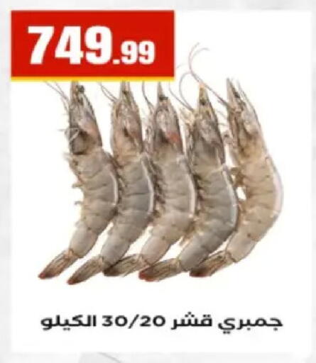 available at El Mahlawy Stores in Egypt - Cairo