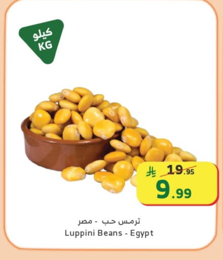 available at الراية in مملكة العربية السعودية, السعودية, سعودية - نجران