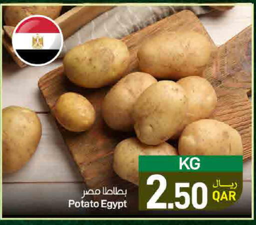 Potato from Egypt available at ســبــار in قطر - أم صلال