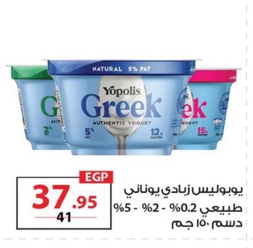 available at زهران ماركت in Egypt - القاهرة