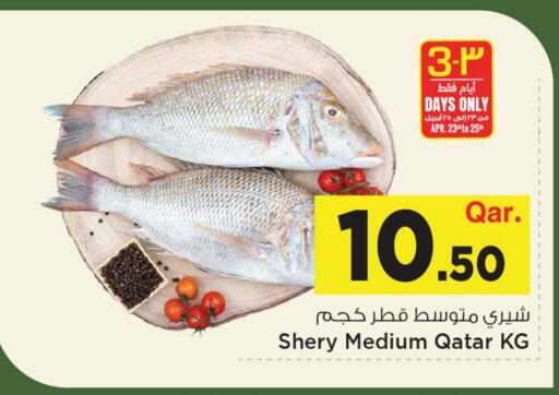 available at مارك & سيف in قطر - الضعاين