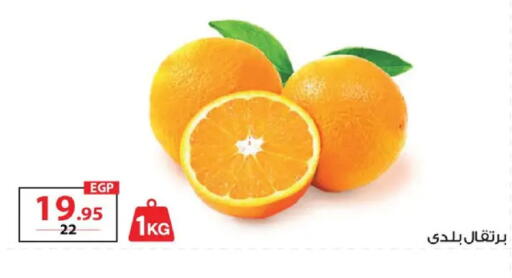 available at  Zahran Market in Egypt - Cairo