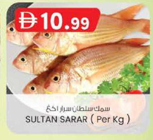 available at K M Trading  in UAE - Fujairah