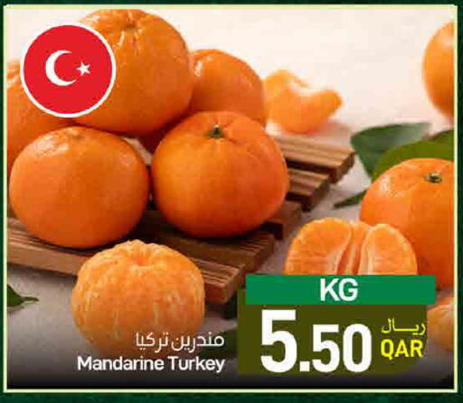 from Turkey available at ســبــار in قطر - أم صلال