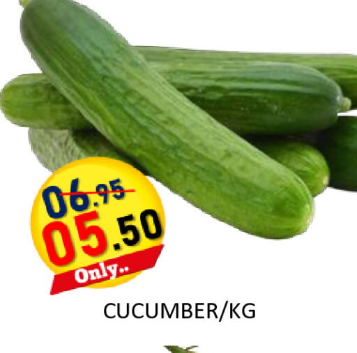 Cucumber available at رويال جلف هايبرماركت in الإمارات العربية المتحدة , الامارات - أبو ظبي