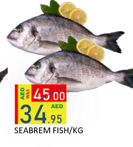 available at رويال جلف هايبرماركت in الإمارات العربية المتحدة , الامارات - أبو ظبي