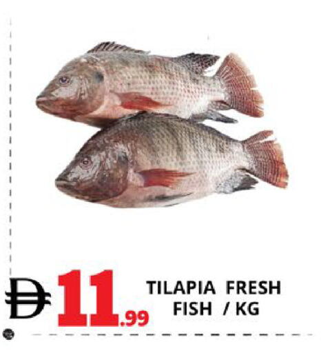 available at اكسبرس المدينة هايبرماركت in الإمارات العربية المتحدة , الامارات - أبو ظبي