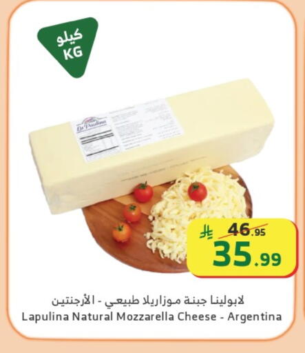 available at الراية in مملكة العربية السعودية, السعودية, سعودية - نجران